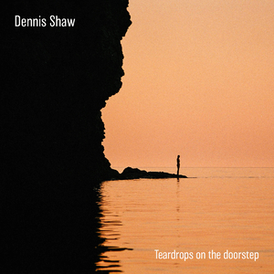 农村妇夫裸体BB
